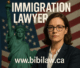 Immigration Lawyer