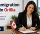 Best Immigration Lawyer in Orillia